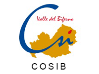 cosib